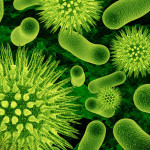 Τα μικροσκοπικά υλικά που εξοντώνουν… τα βακτήρια